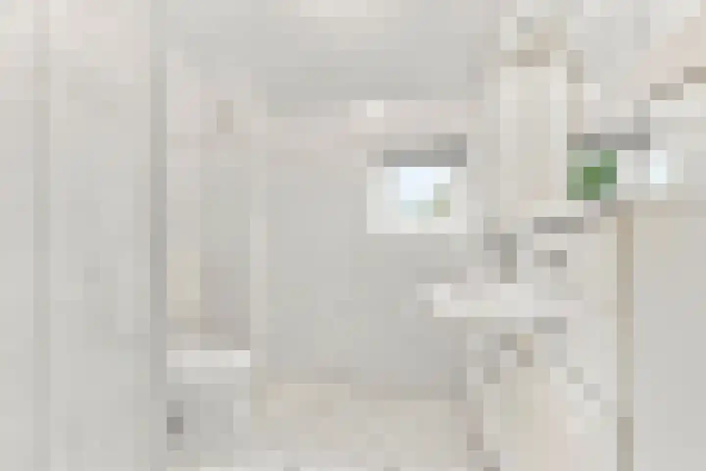 Brasem 4 Oostzaan thumbnail 11