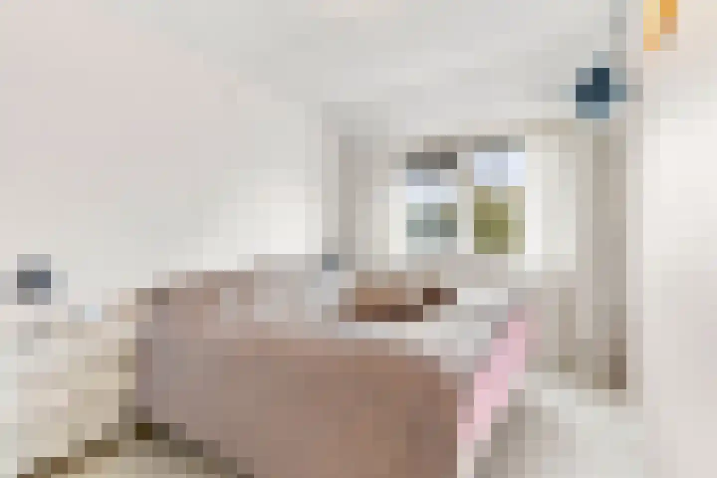 Brasem 4 Oostzaan thumbnail 12