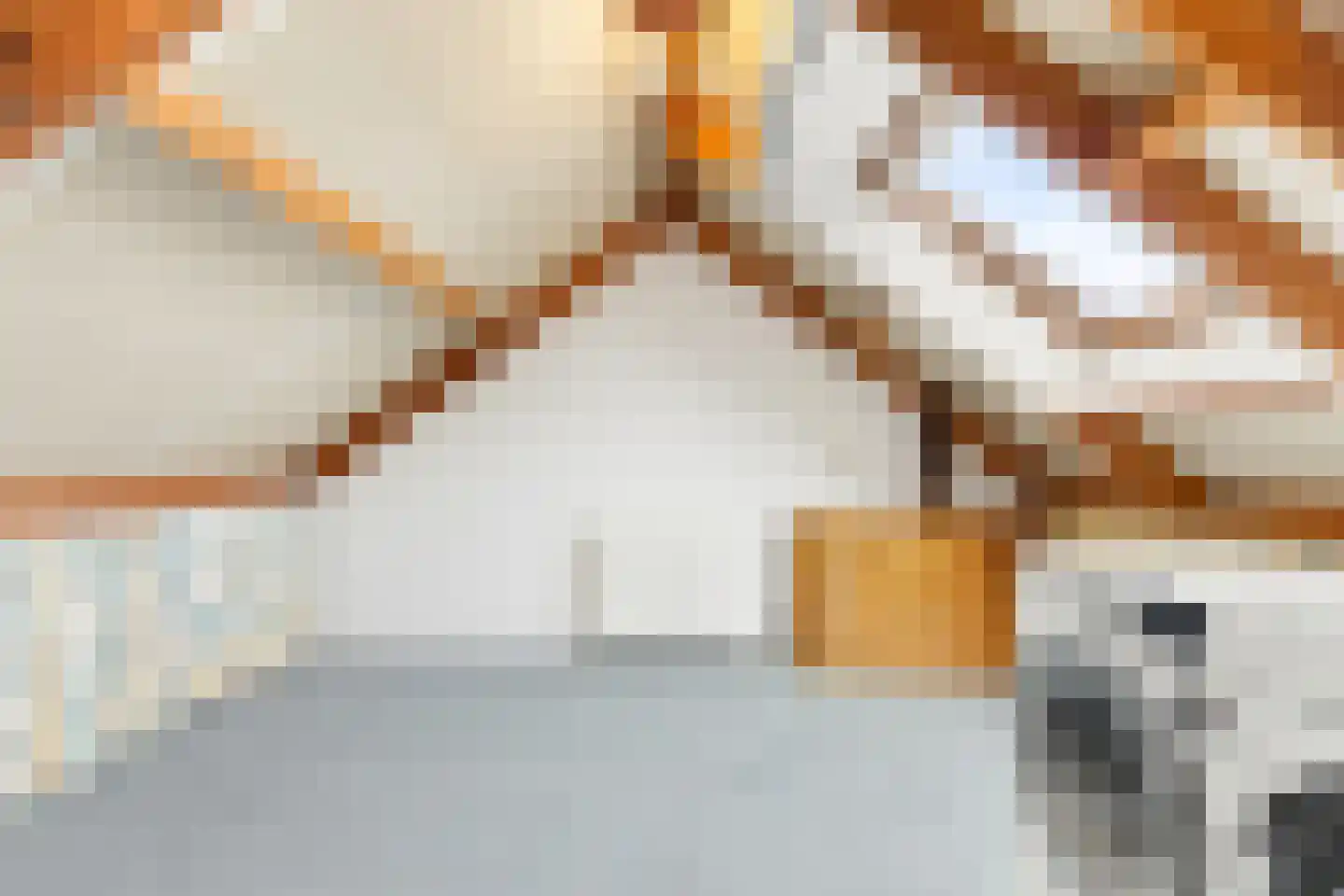 Brasem 4 Oostzaan thumbnail 19