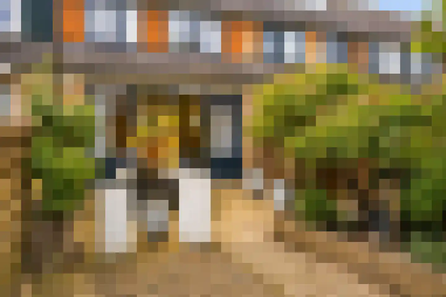 Brasem 4 Oostzaan thumbnail 20