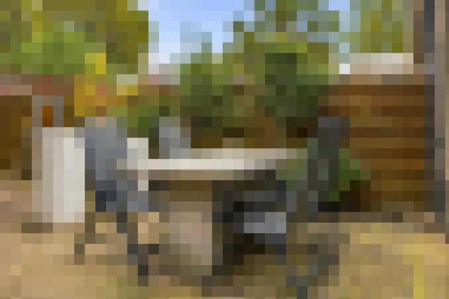 Brasem 4 Oostzaan thumbnail 21