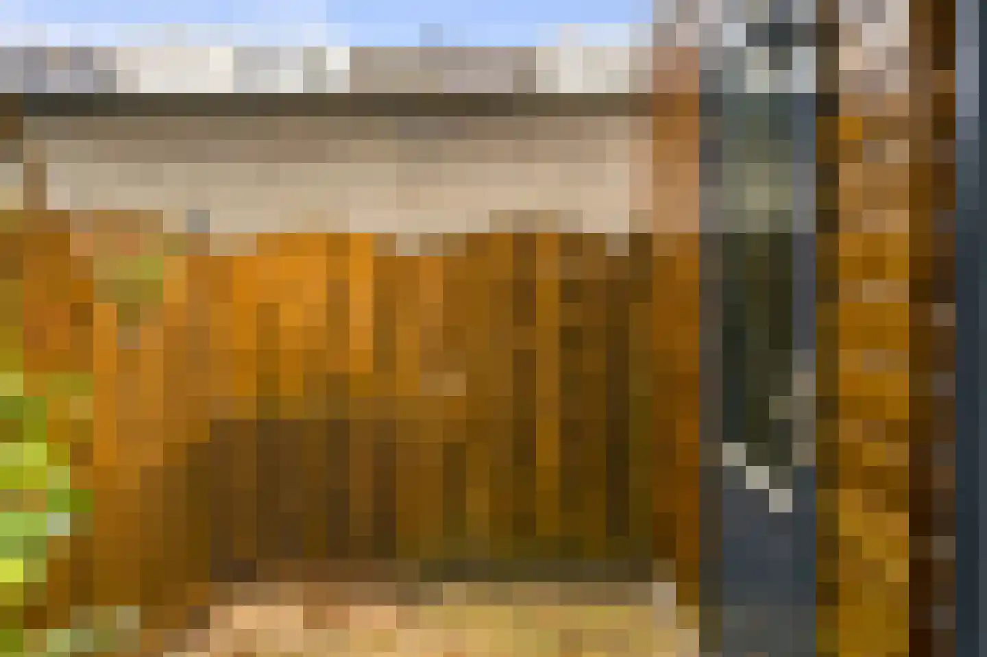 Brasem 4 Oostzaan thumbnail 23