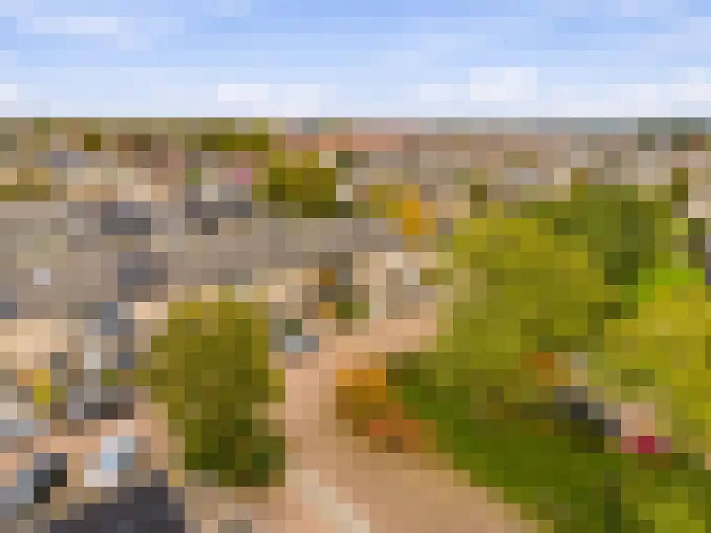 Brasem 4 Oostzaan thumbnail 26