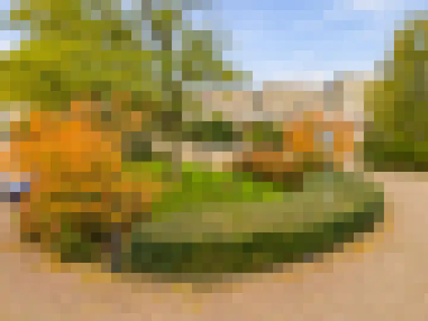 Brasem 4 Oostzaan thumbnail 27