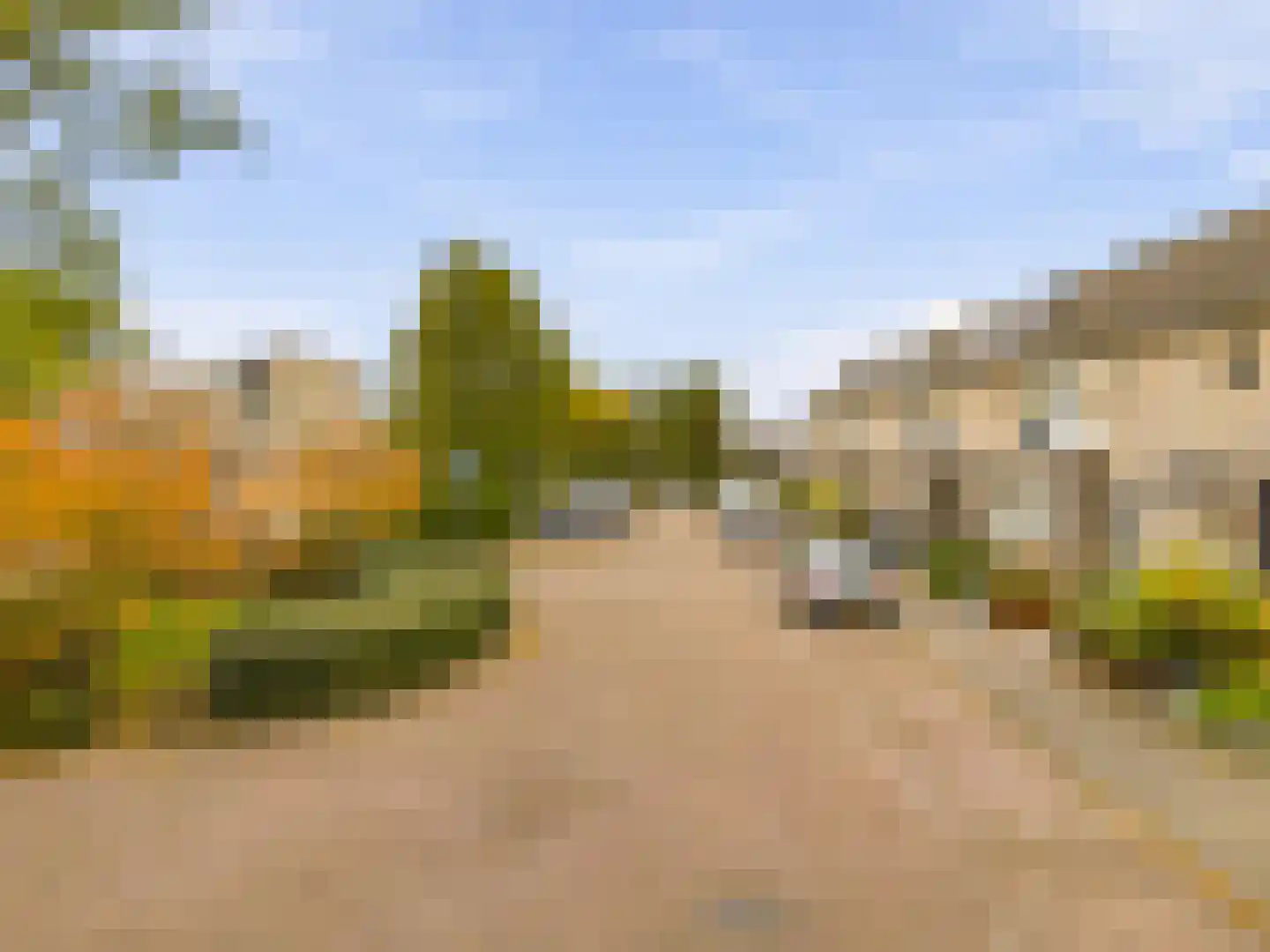 Brasem 4 Oostzaan thumbnail 28