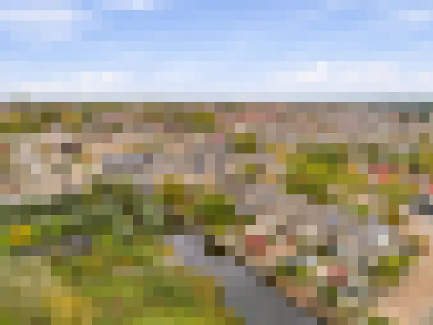 Brasem 4 Oostzaan thumbnail 31