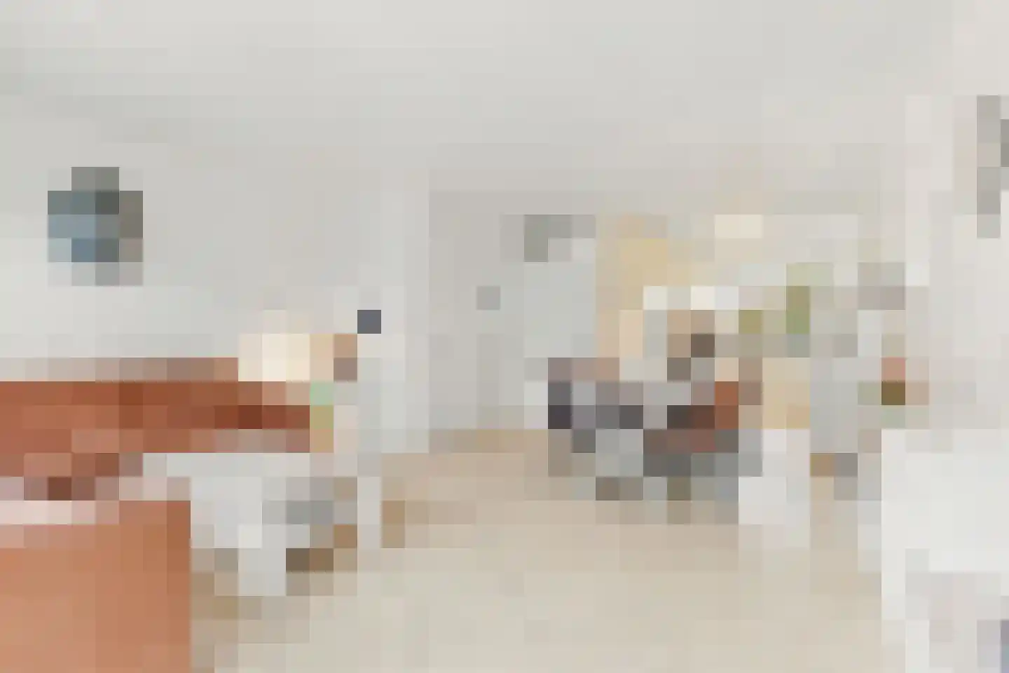 Brasem 4 Oostzaan thumbnail 4