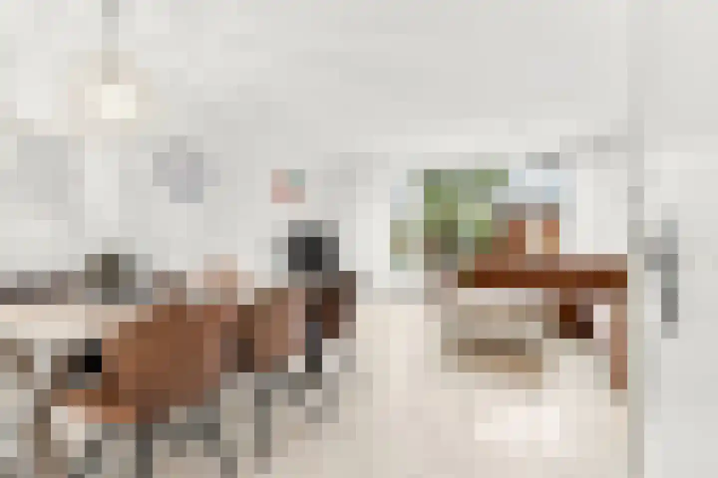 Brasem 4 Oostzaan thumbnail 5