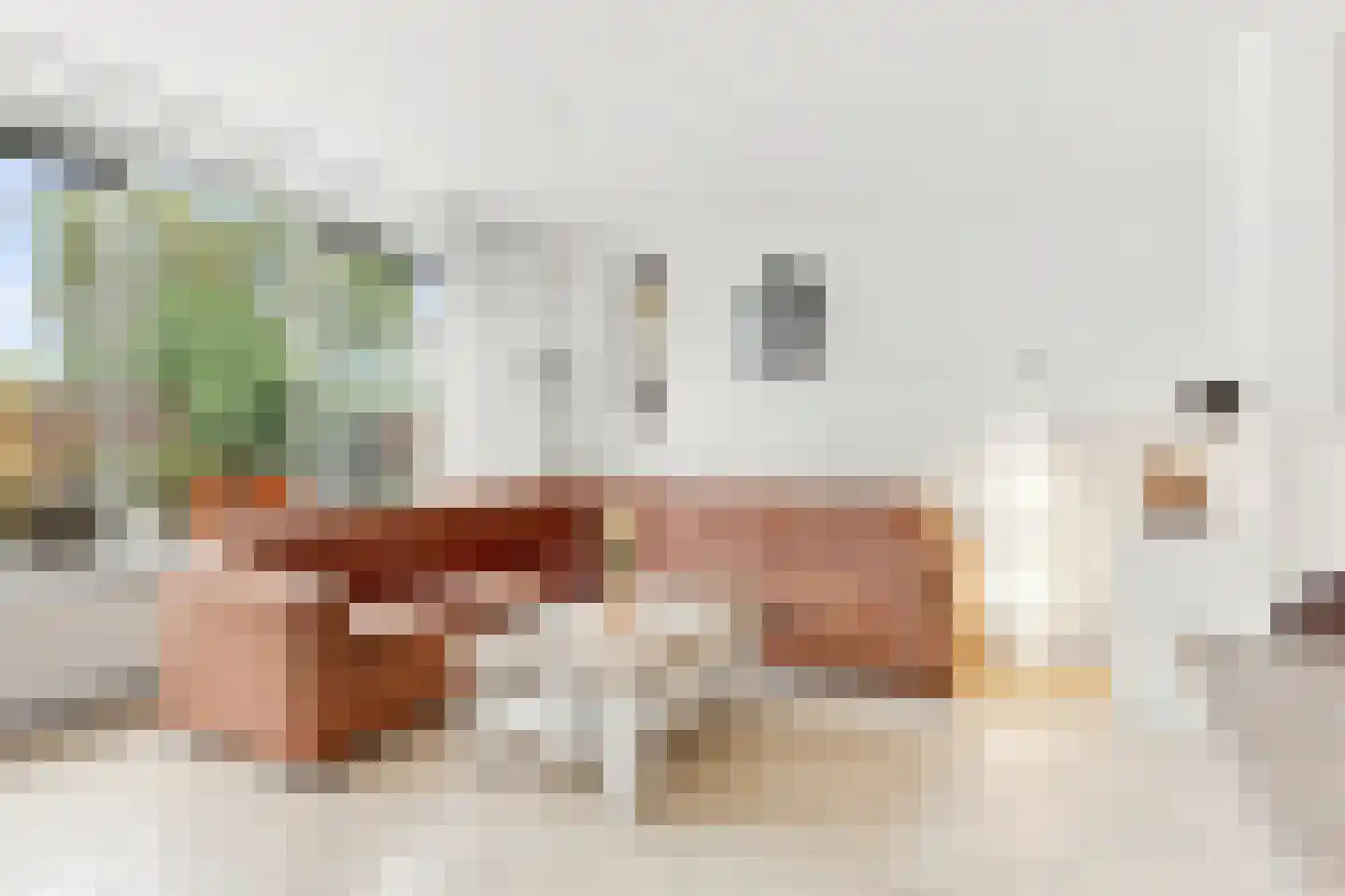 Brasem 4 Oostzaan thumbnail 6
