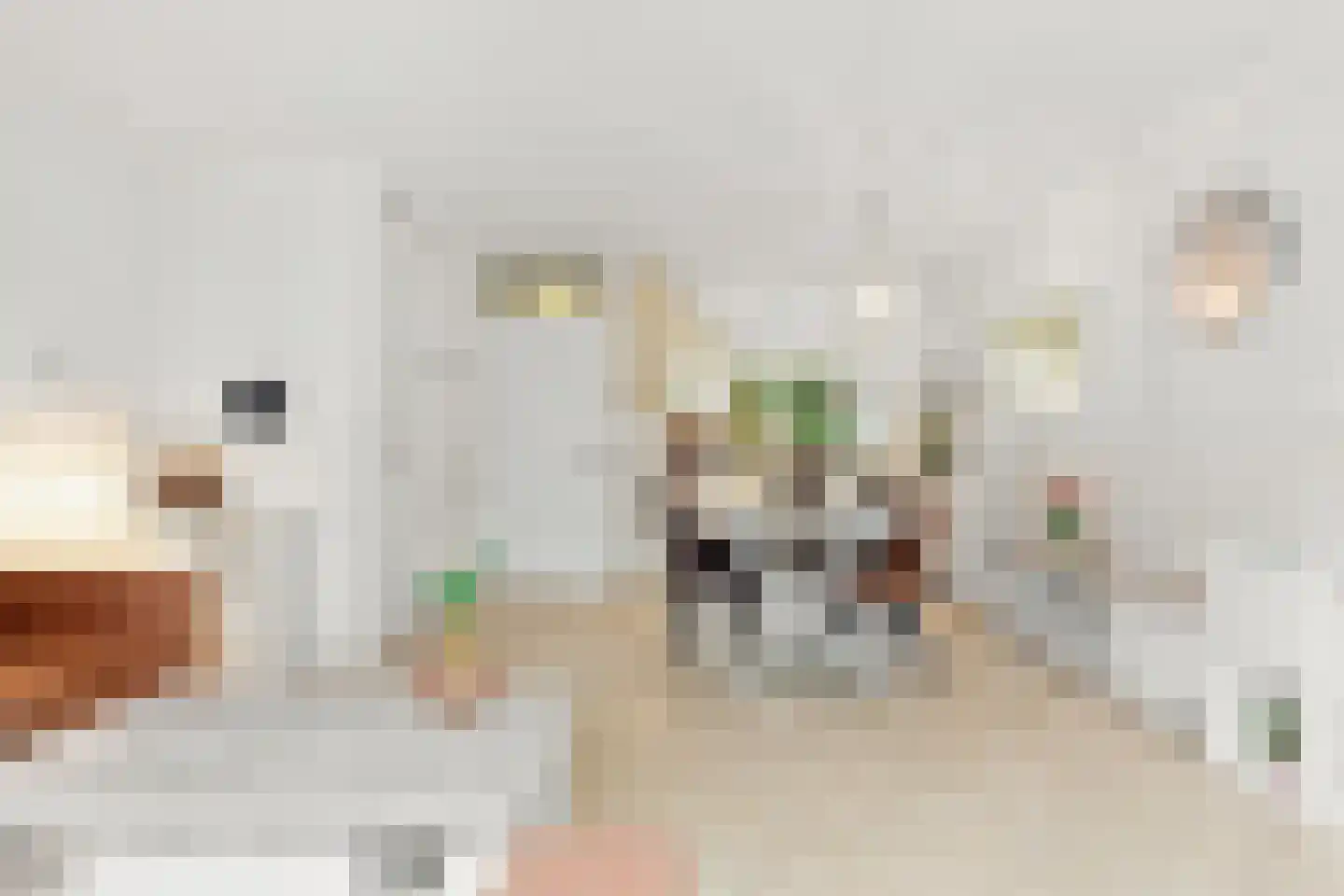 Brasem 4 Oostzaan thumbnail 7
