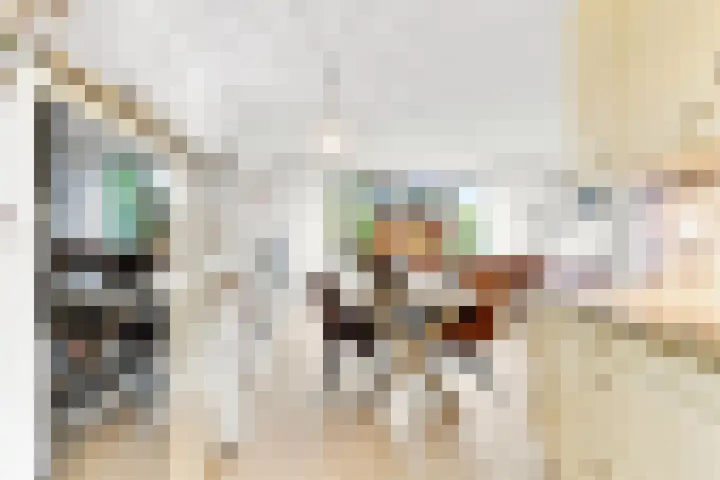 Brasem 4 Oostzaan thumbnail 8