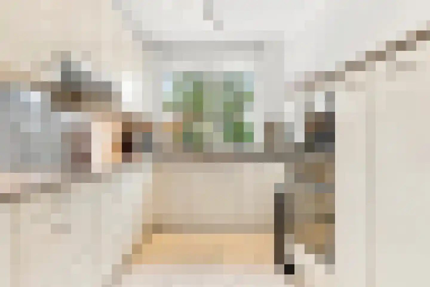 Brasem 4 Oostzaan thumbnail 9
