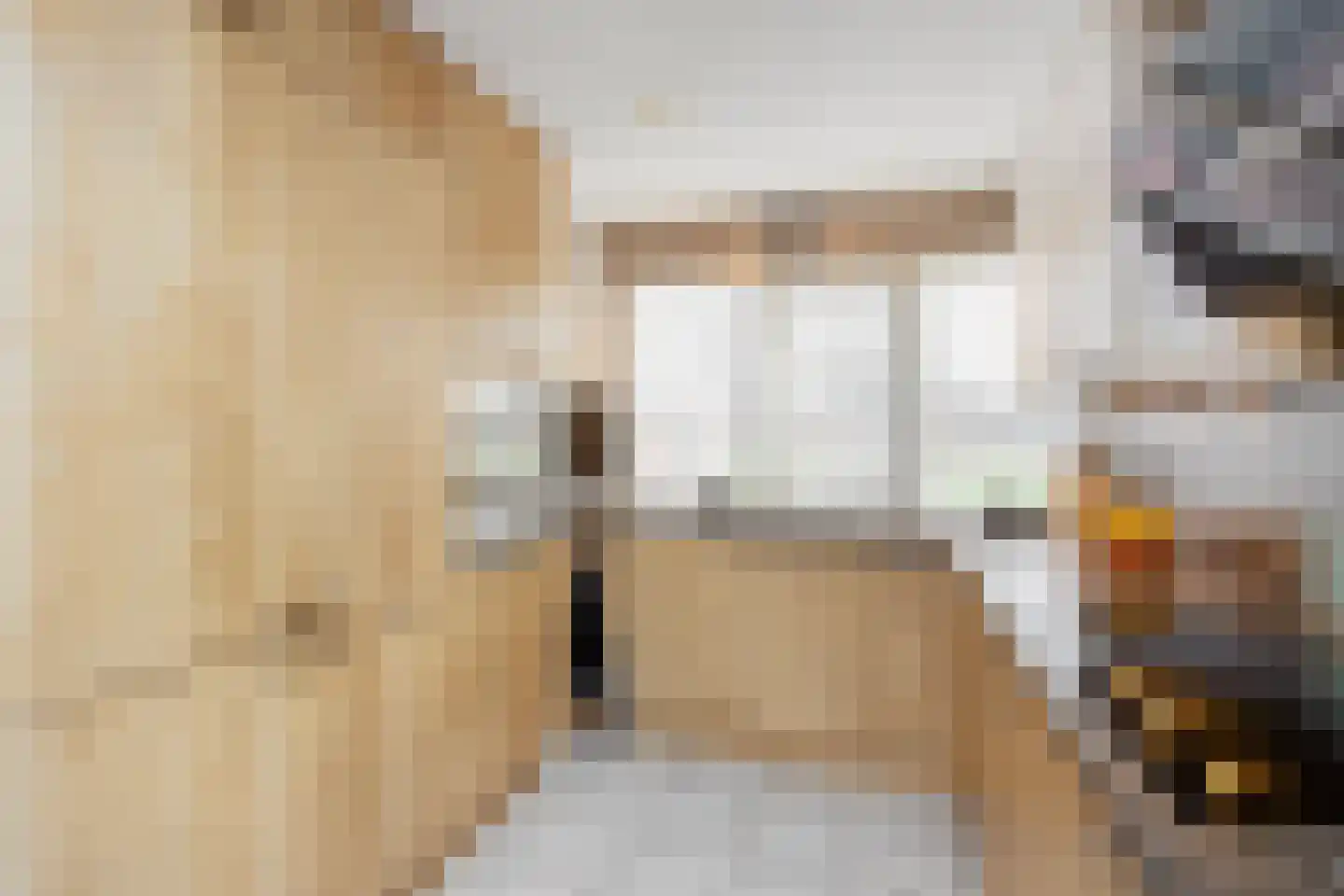 Brasem 62 a Bodegraven thumbnail 14