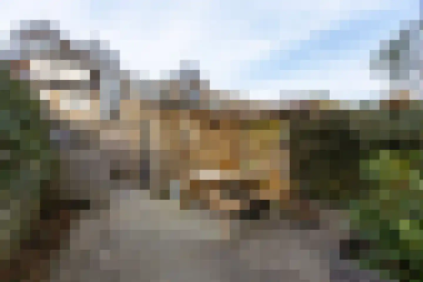 Brasem 62 a Bodegraven thumbnail 18