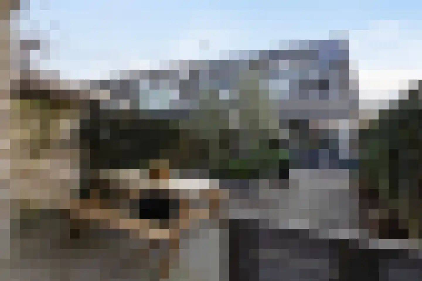 Brasem 62 a Bodegraven thumbnail 19