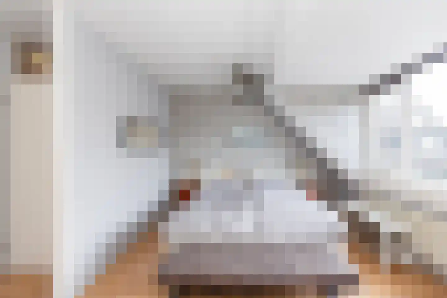 Brasem 62 a Bodegraven thumbnail 22