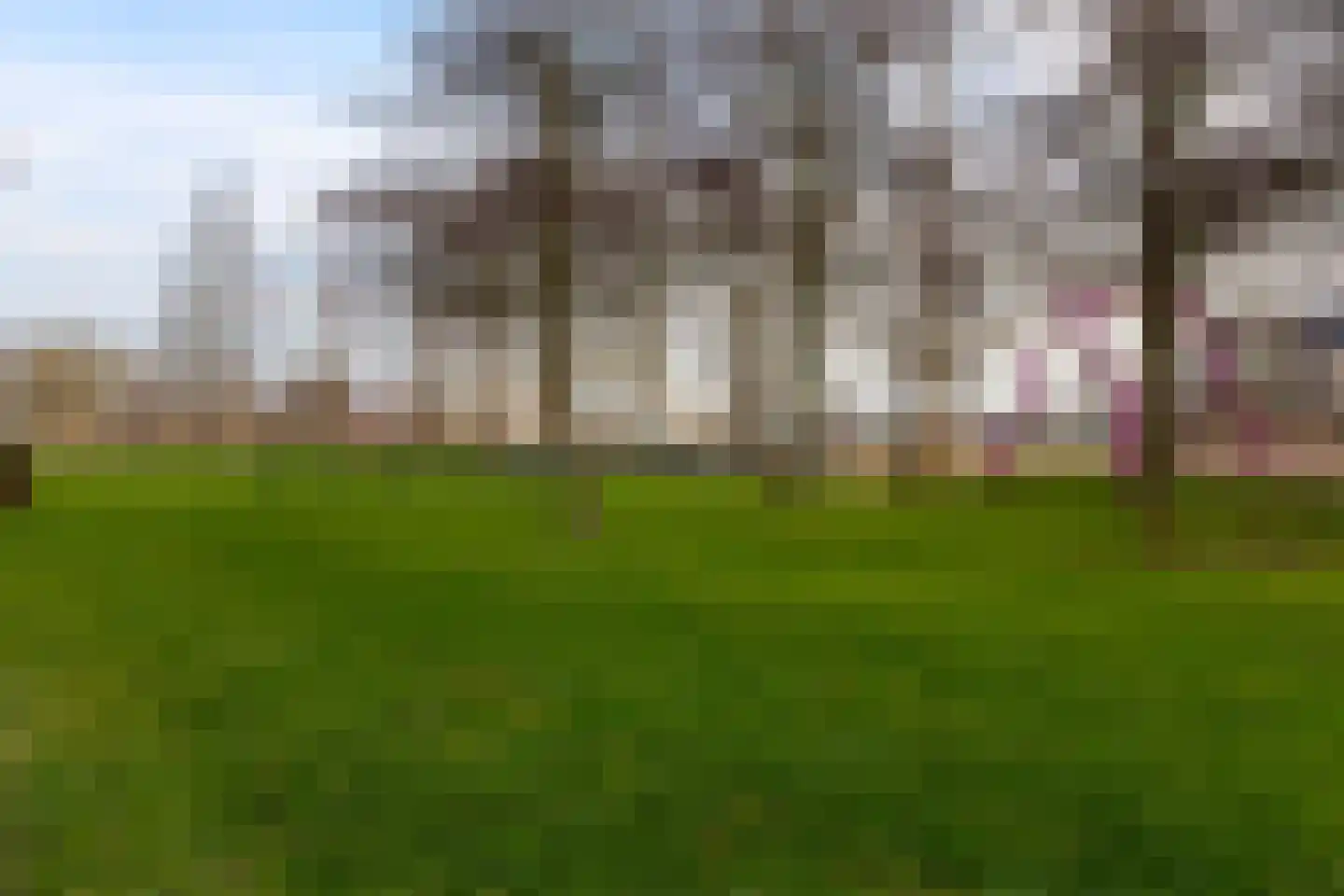 Brasem 62 a Bodegraven thumbnail 32