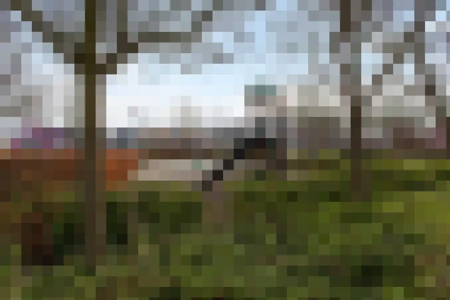 Brasem 62 a Bodegraven thumbnail 33