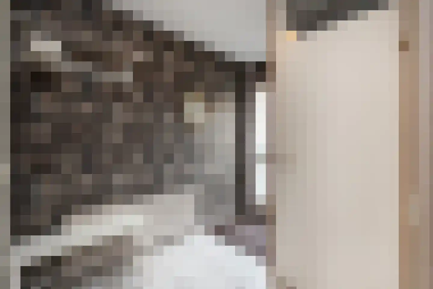 Brasem 62 a Bodegraven thumbnail 7