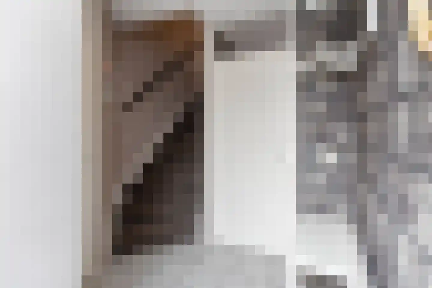 Brasem 62 a Bodegraven thumbnail 9