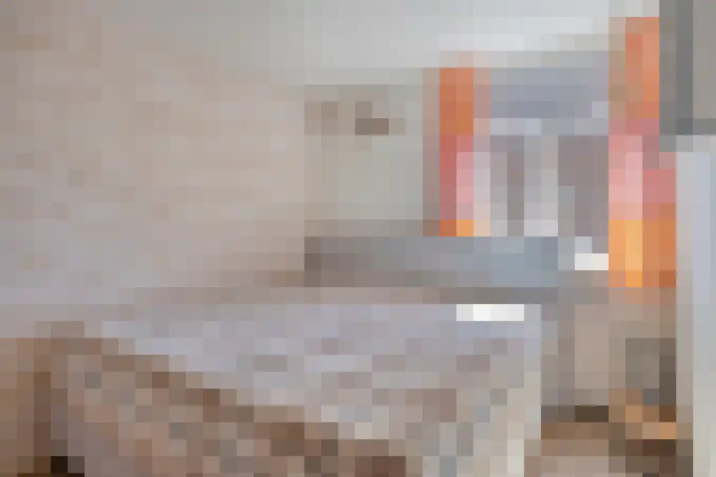 Brasem 7 Hellevoetsluis thumbnail 15