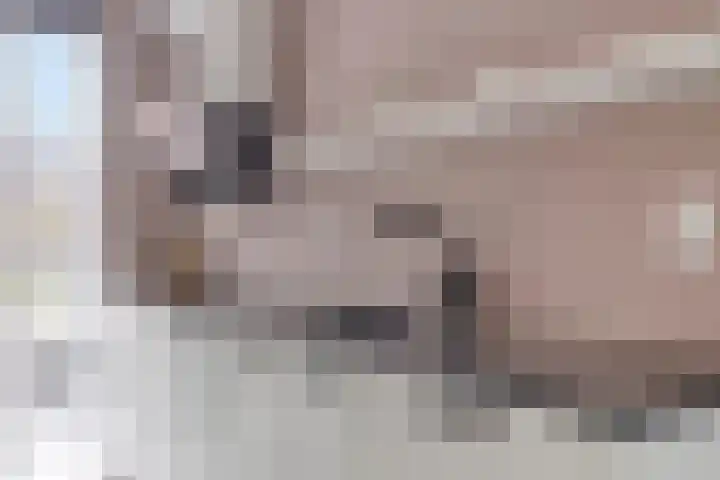 Brasem 7 Veenendaal thumbnail 12