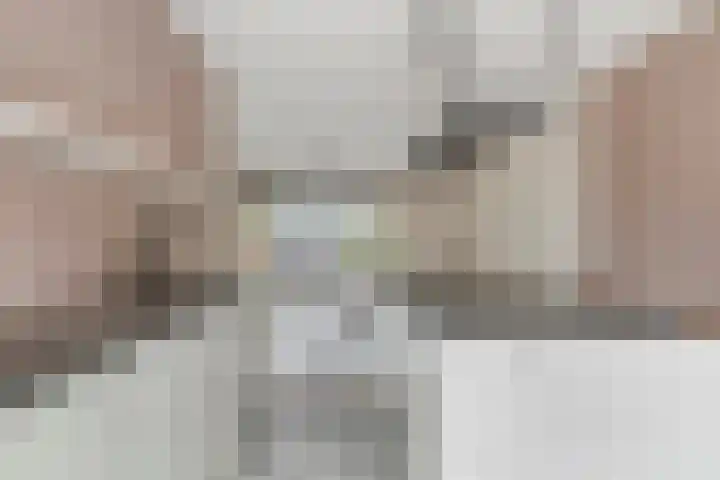 Brasem 7 Veenendaal thumbnail 13