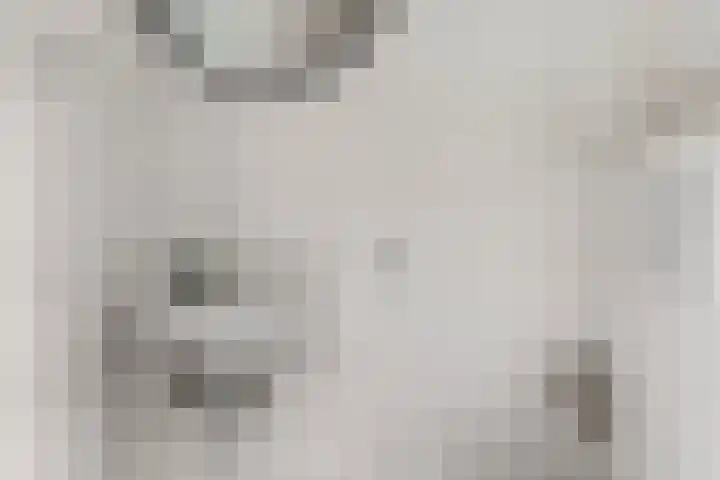 Brasem 7 Veenendaal thumbnail 14