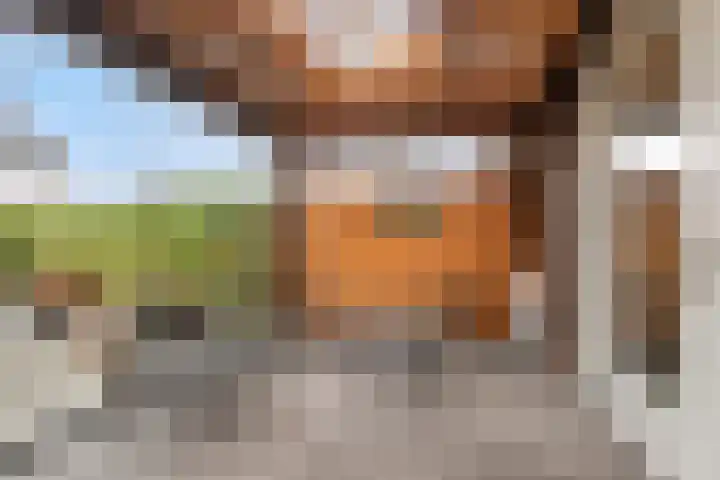 Brasem 7 Veenendaal thumbnail 27