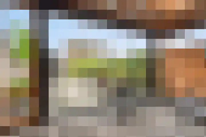 Brasem 7 Veenendaal thumbnail 28