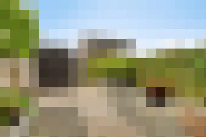 Brasem 7 Veenendaal thumbnail 29