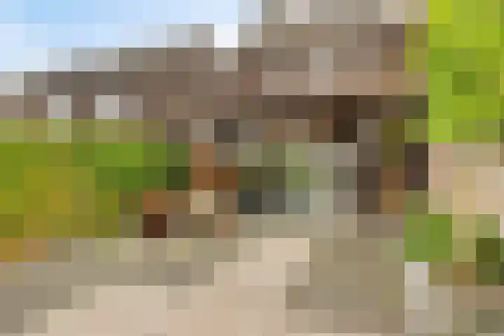 Brasem 7 Veenendaal thumbnail 30