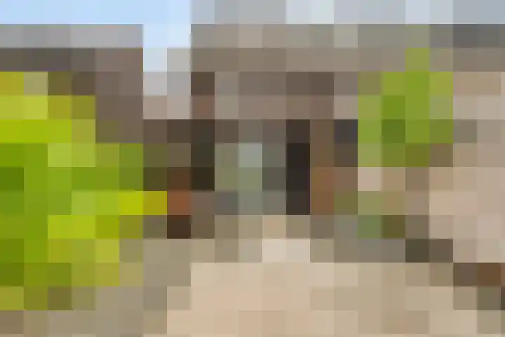 Brasem 7 Veenendaal thumbnail 5