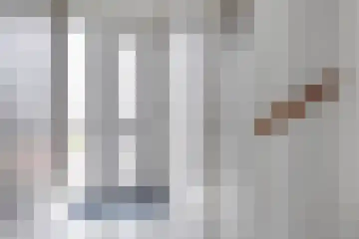 Brasem 7 Veenendaal thumbnail 7