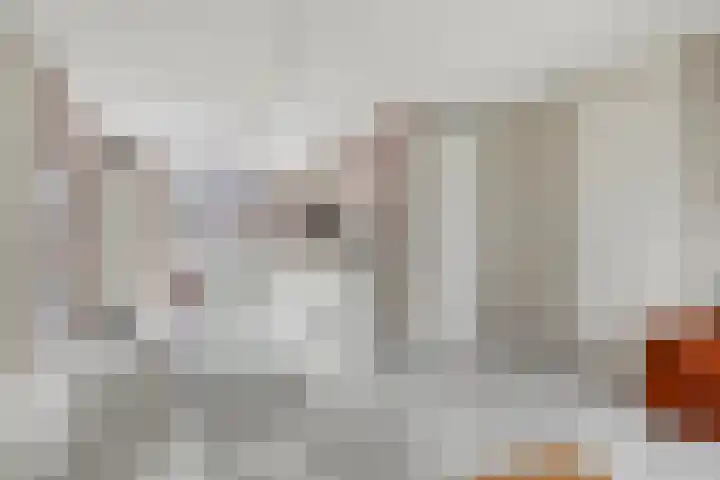 Brasem 7 Veenendaal thumbnail 9