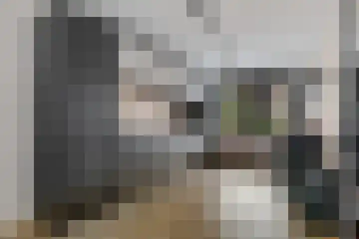 Brasem 7 Waddinxveen thumbnail 12