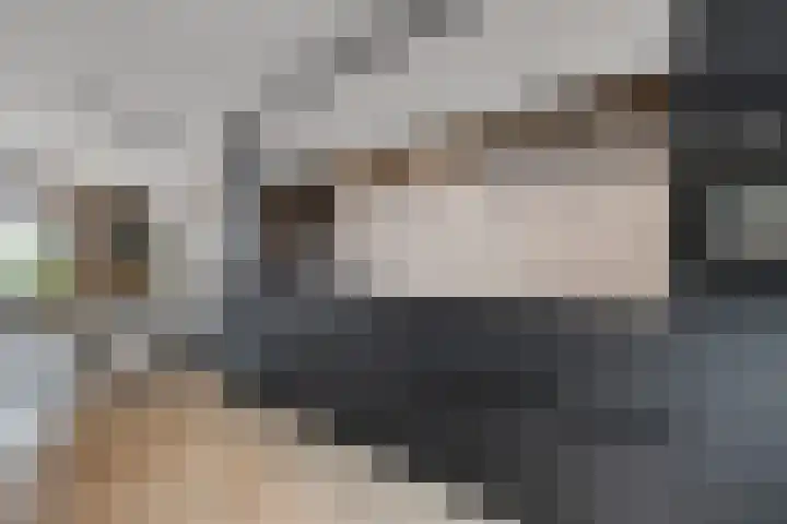 Brasem 7 Waddinxveen thumbnail 14