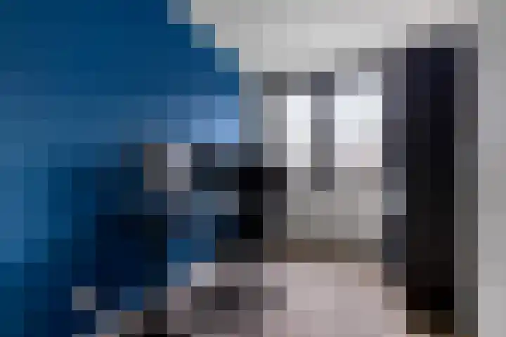 Brasem 7 Waddinxveen thumbnail 17