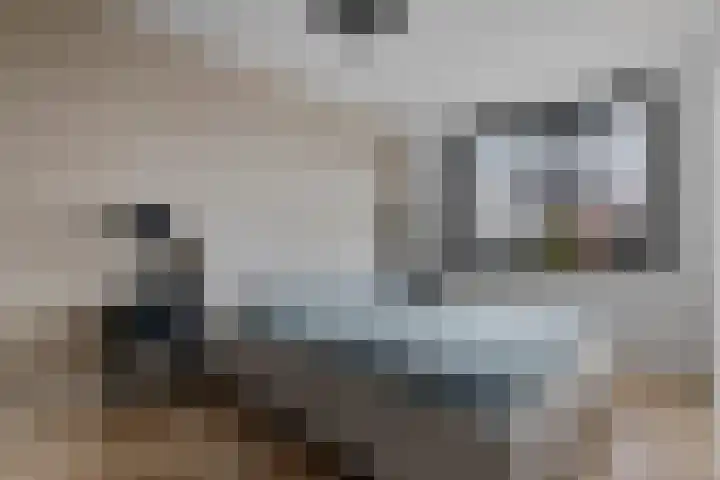 Brasem 7 Waddinxveen thumbnail 18