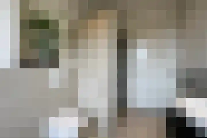 Brasem 7 Waddinxveen thumbnail 21