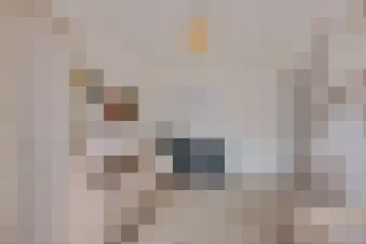 Brasem 7 Waddinxveen thumbnail 25