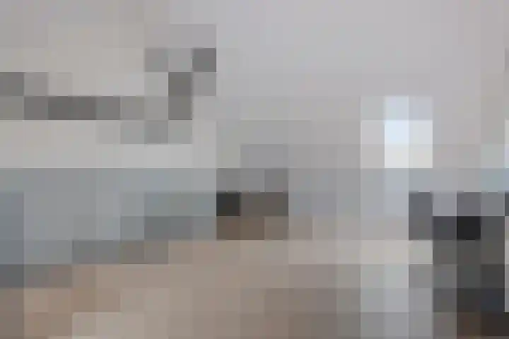 Brasem 7 Waddinxveen thumbnail 26