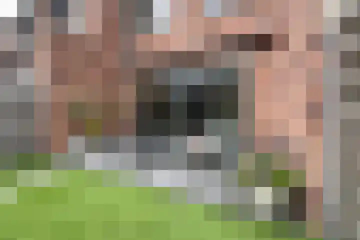 Brasem 7 Waddinxveen thumbnail 29