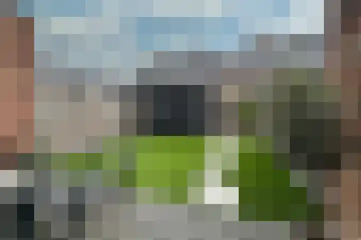 Brasem 7 Waddinxveen thumbnail 30