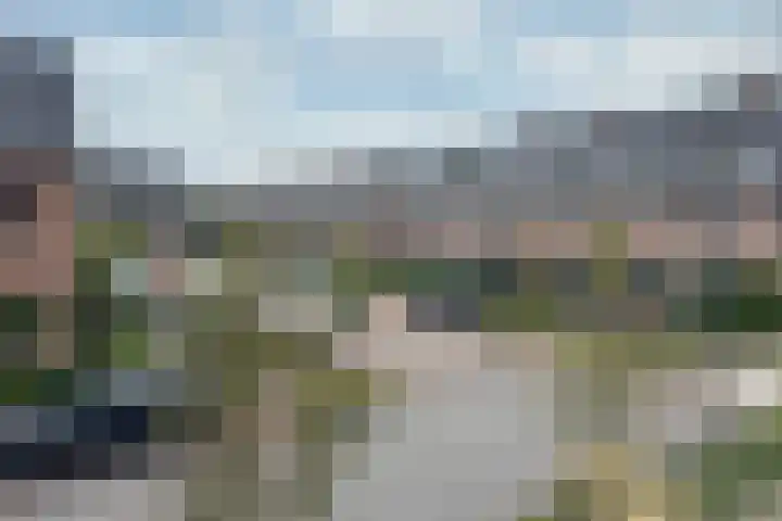 Brasem 7 Waddinxveen thumbnail 31