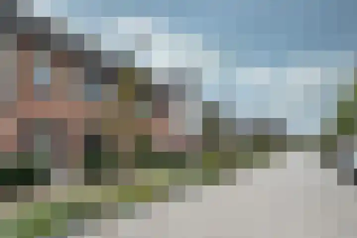 Brasem 7 Waddinxveen thumbnail 32
