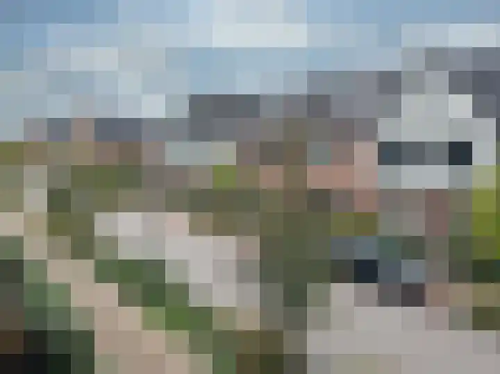 Brasem 7 Waddinxveen thumbnail 4