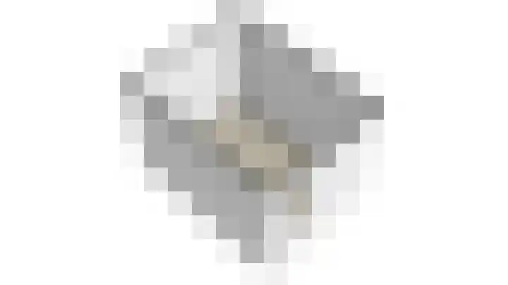 Brasem 7 Waddinxveen thumbnail 40