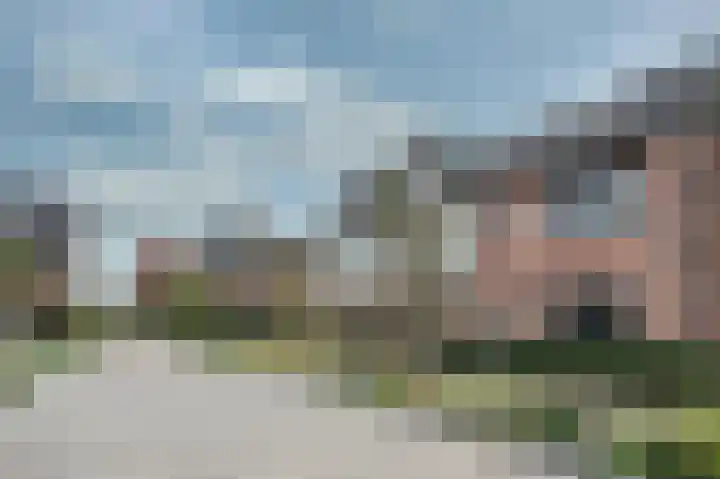 Brasem 7 Waddinxveen thumbnail 5