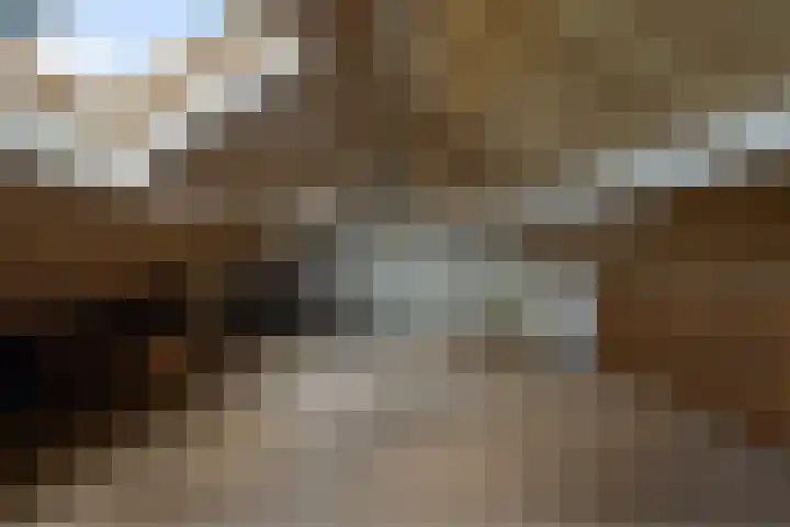 Brasemcroftlaan 16 Heiloo thumbnail 23